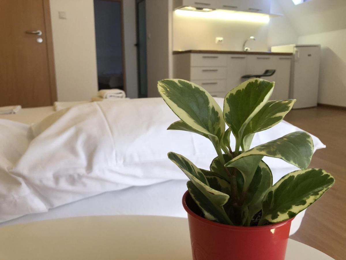 Aparthotel Elly 포마리 외부 사진